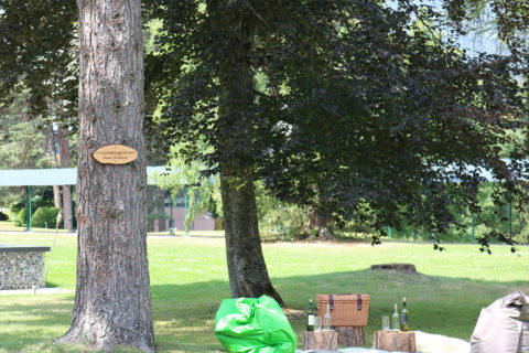 a landscape shot of a park with lush green grass and trees. There is a picnic set up under the shade of the trees. There is a woven basket set on a tree stump and water and wine in glass bottles. There are three pillows surrounding the picnic set up