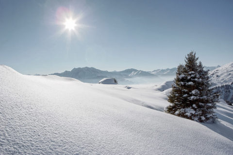 an landscape shot of a snow covered valley. There is a single evergreen tree dusted with snow. In the background is the ridge line of the snow covered swiss alps. The sun shines brightly in the pale blue sky.