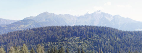 Landscape shot of the nature surrounding the resort. In the foreground is an expansive evergreen tree forest. In the background there are tall, jagged peaks of the swiss alps. At the very top of the mountains are caps of snow.