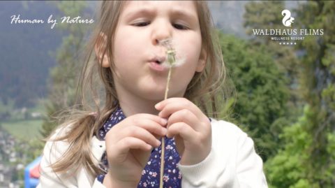 little girl blowing petals off of a flower